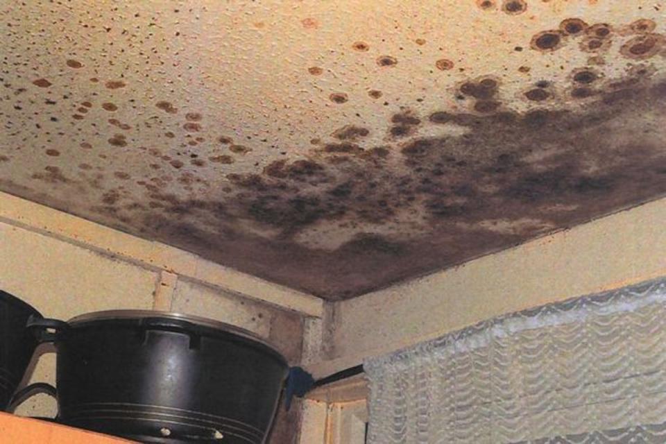 Mould in the kitchen of toddler Awaab Ishak, who died after prolonged exposure to mould in his home (Greater Manchester Police))