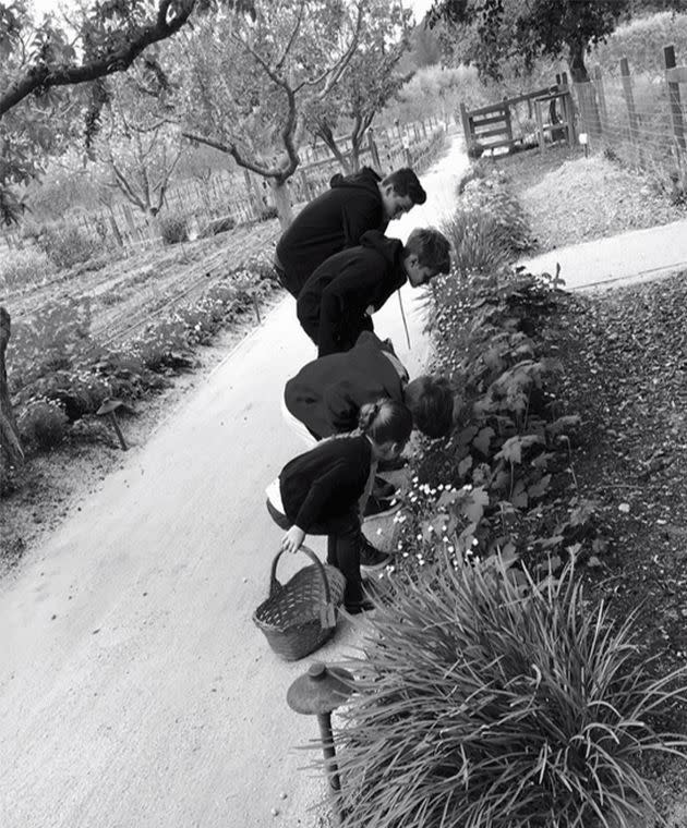 Brooklyn, Romeo, Cruz and Harper Beckham. Photo: Instagram