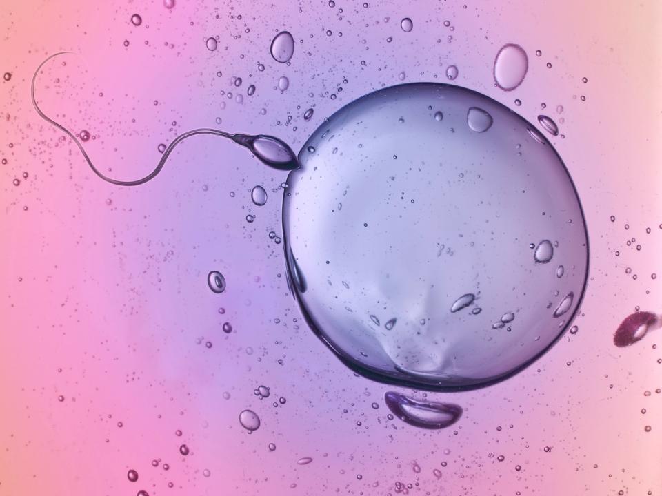 Egg freezing considered by almost half of young women, study finds