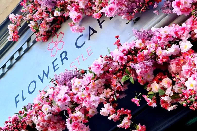 Flower Cafe is coming to Sunderland