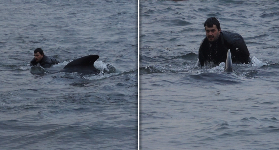 A man riding a whale before it is killed.