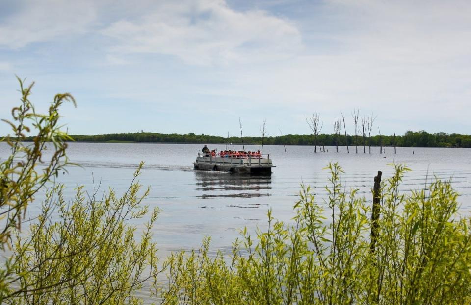 Tour the Manasquan Reservoir in Howell with a Monmouth County Park System naturalist.