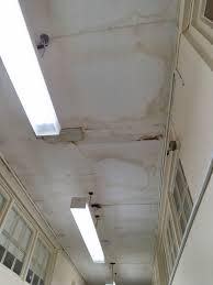 The Northern Echo: Mouldy and leaking ceilings in a school