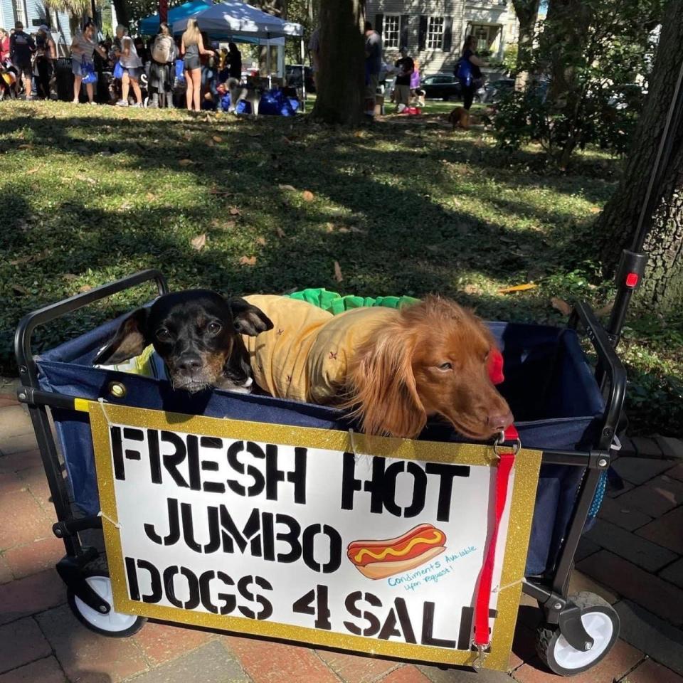 What started as a pet parade grew over the years into an organized trick-or-treat event with dogs and humans dressed up going from business to business and stopping at booths in Savannah’s historic squares.