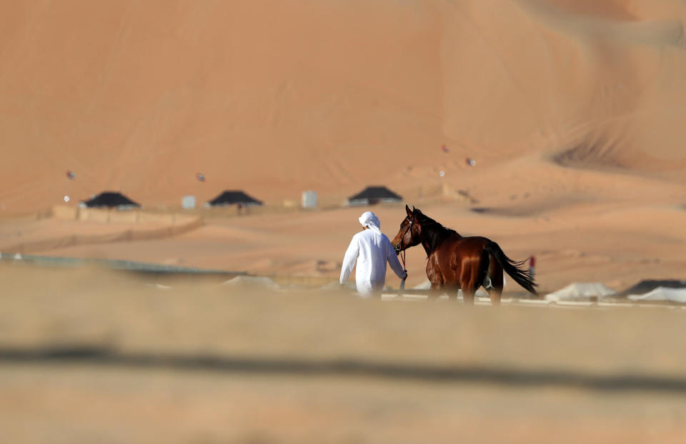 <p>A handler leads a purebred Arab horse through the desert ahead of a race. (Photo: Karim Sahib/AFP/Getty Images) </p>