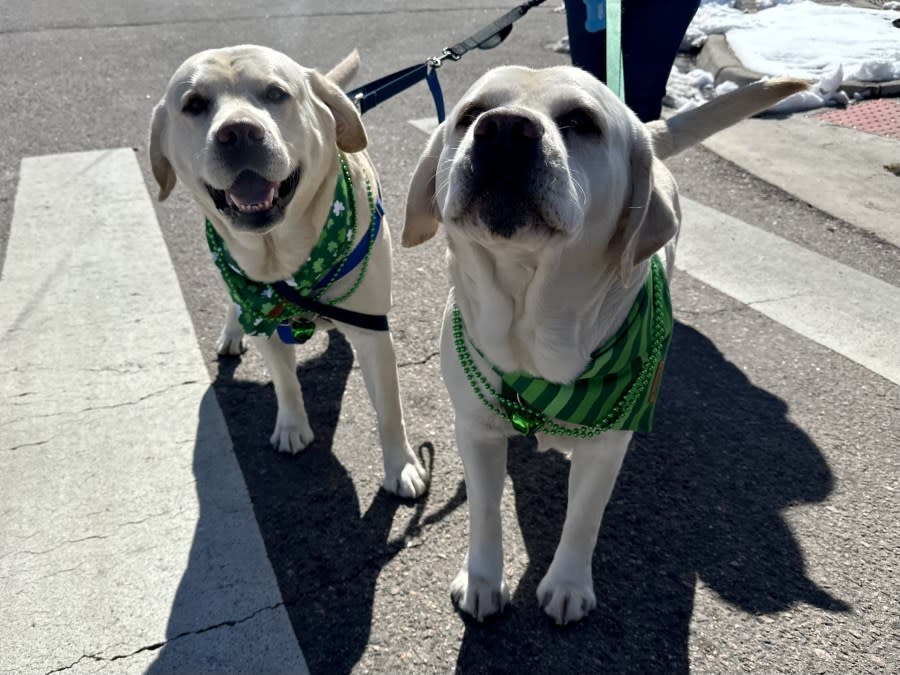 Coloradans grabbed their green and gathered in the Five Points neighborhood of Denver for the 62nd annual St. Patrick's Day parade on March 16, 2024.