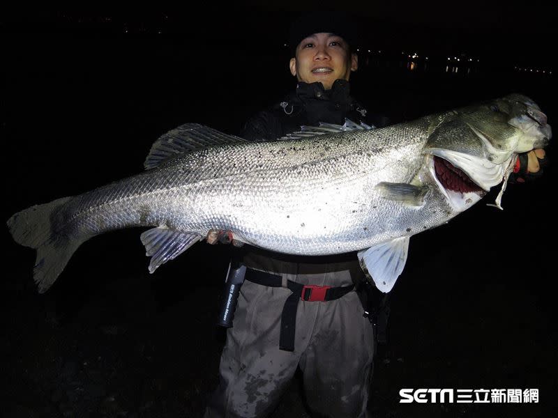 Sunny的最佳紀錄是釣到107公分的七星鱸，其釣魚經驗豐富又專業，不少國外職業釣手都曾和他切磋過。（圖／Sunny Yang授權提供）