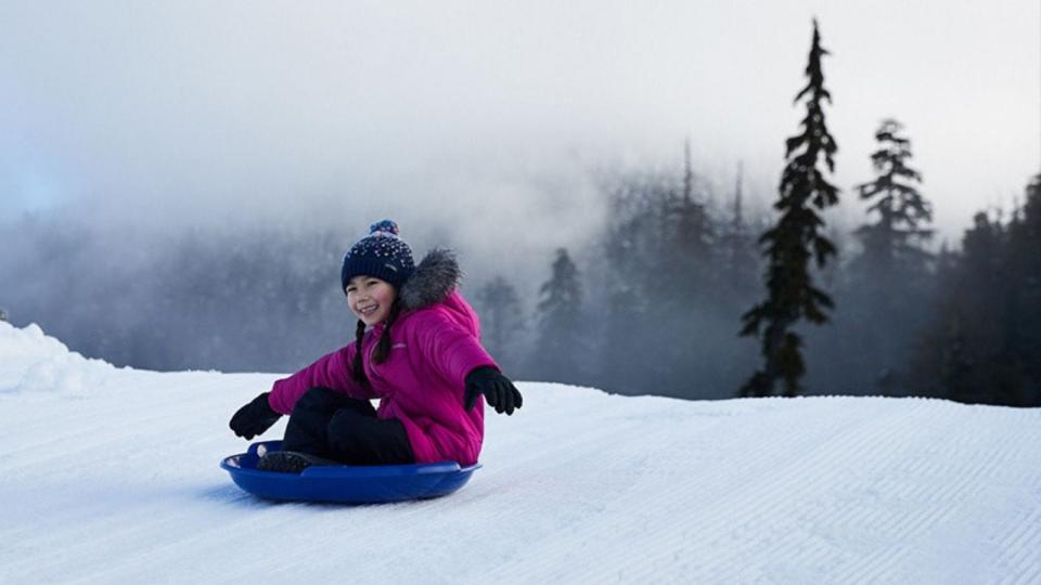 best places you can buy sleds and snow tubes: Dick's Sporting Goods