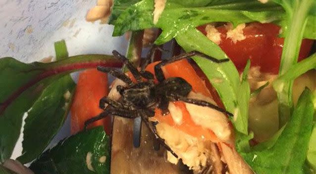 Another customer recently found a spider in her Woolworths salad. Source: Facebook