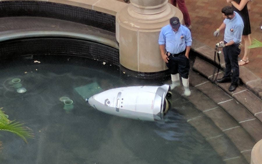 The robot ended up in the fountain in the office in Washington DC - Bilal Farooqui/Twitter