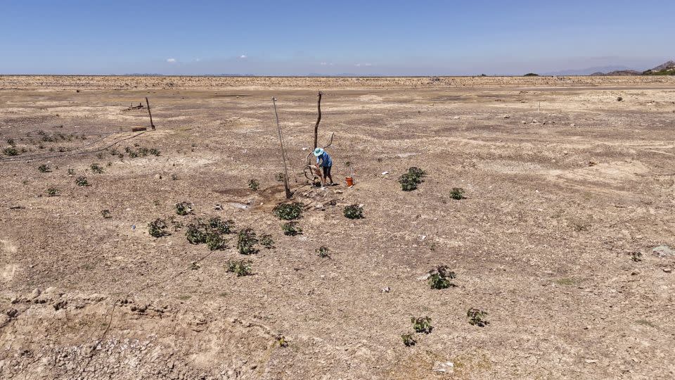 A resident tries to pump underground water from a dried-up reservoir in Vietnam's central Ninh Thuan province during a heat wave and drought on April 6, 2024.  -Stringer/AFP/Getty Images