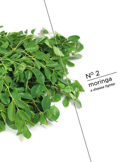 Moringa