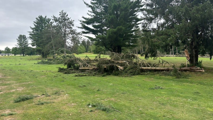 Storm damage at Bent Pine Golf Club in Fruitland Township on June 25, 2024.