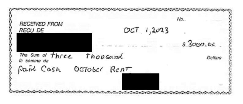 Dorothy Shephard said she was struck by how many invoices were paid to private travel-nurse companies without proper documentation of services being delivered.  