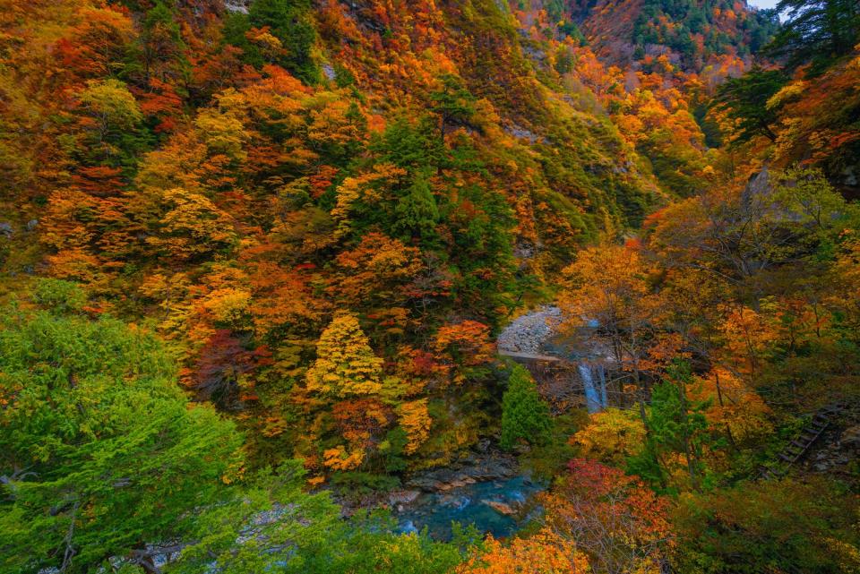 立山黑部（圖片來源：Getty Creative）