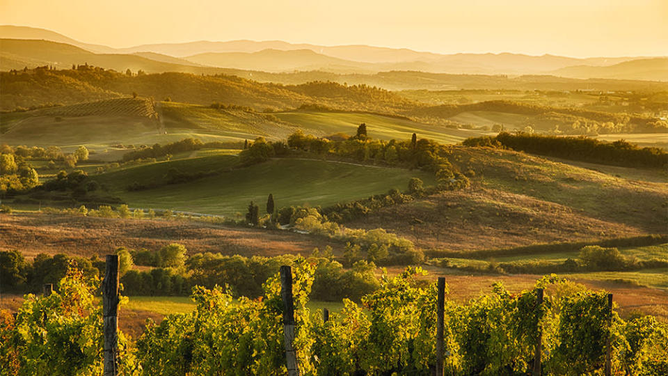 In the hills of Chianti, where The Mall Firenze organizes private outings. - Credit: The Mall Luxury Outlets