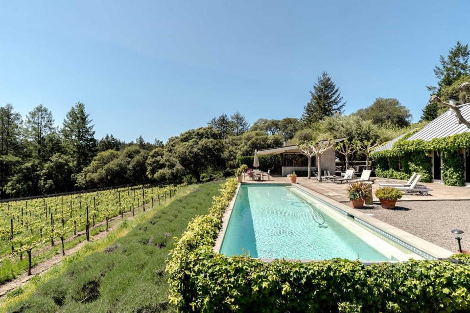 Vineyard Retreat in Occidental