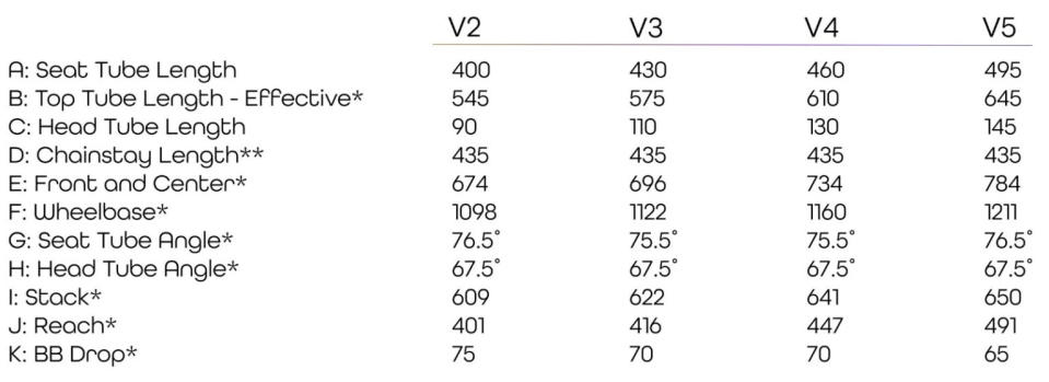 Viral Bike Wanderer Geometry Chart