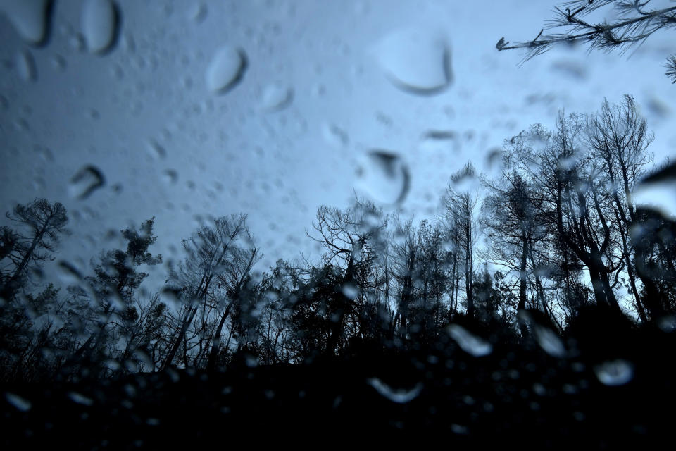 Burnt trees seen through the window of car with drops from rain near village Milies on Evia island, about 181 kilometers (113 miles) north of Athens, Greece, Thursday, Aug. 12, 2021. Greek Prime Minister Kyriakos Mitsotakis says the devastating wildfires that burned across the country for more than a week amount to the greatest ecological catastrophe Greece has seen in decades. (AP Photo/Petros Karadjias)