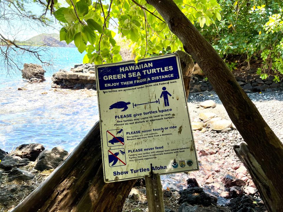 A sign asking visitors to remain a safe distance from turtles sunbathing at Makena Landing on Maui.