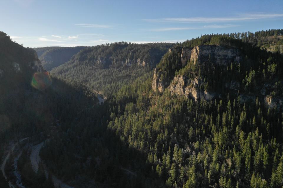 Black Hills National Forest, so named by Native Americans because the evergreen trees are so dark green, they look almost black.