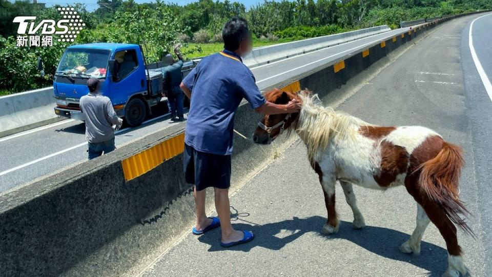 飼主也火速趕抵現場帶回。（圖／TVBS）