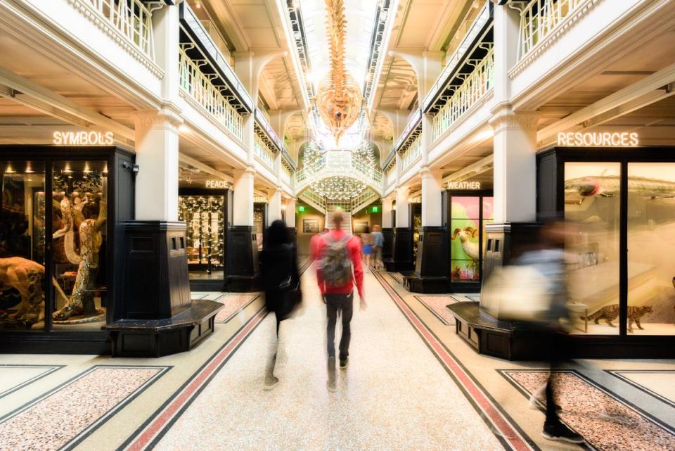 Manchester Museum reopens in February after a transformation (Marketing Manchester / Rich J Jones)