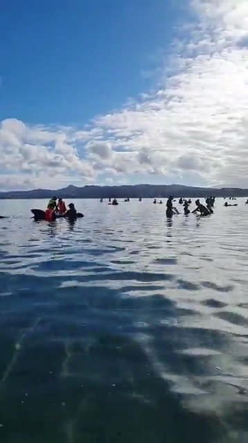 Social media video grab shows volunteers helping to re-float stranded whales at Farewell Spit