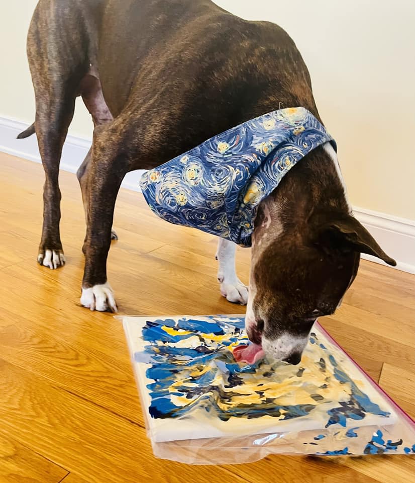 Van Gogh exhibits his painting chops.  (Courtesy Happily Furever After Rescue)