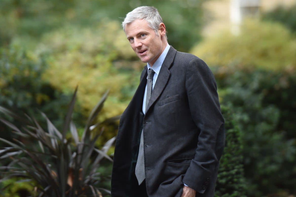 Tory peer Zac Goldsmith has been sacked as an environment minister (David Mirzoeff/PA) (PA Archive)