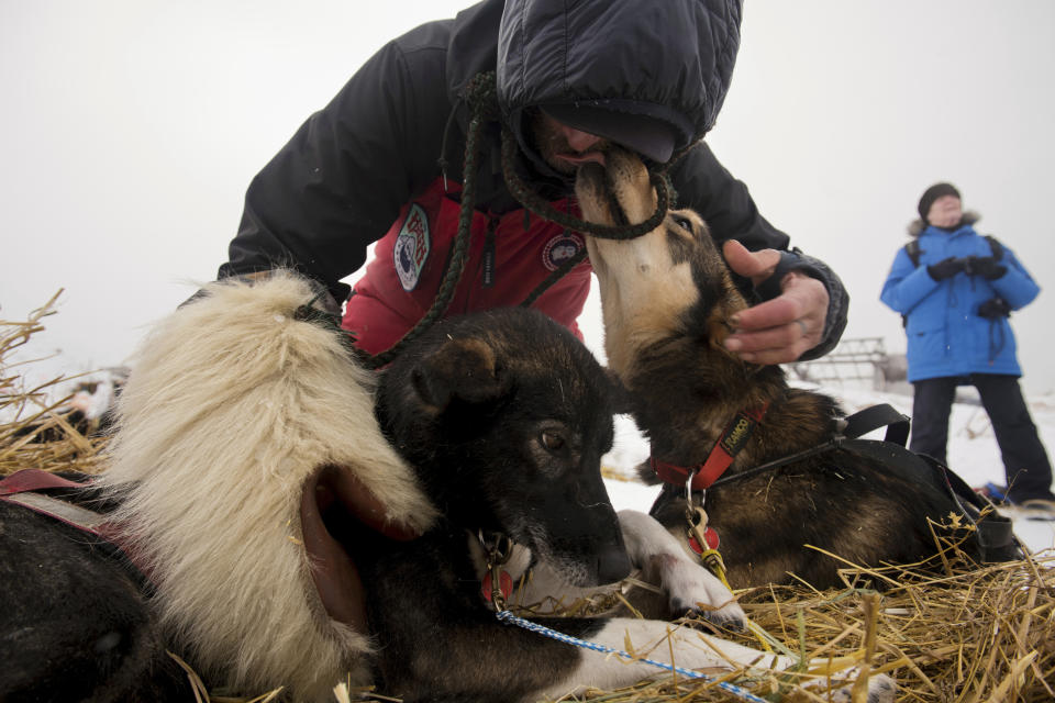In this Monday, March 11, 2019 photo, musher Lance Mackey greets his dogs after arriving in Unalakleet, Alaska, during the Iditarod Trail Sled Dog Race. (Marc Lester/Anchorage Daily News via AP)