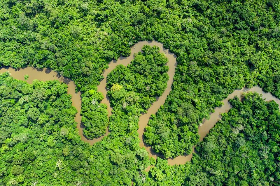Aerial view of the rainforest of the Congo Basin in Odzala National Park, Republic of Congo