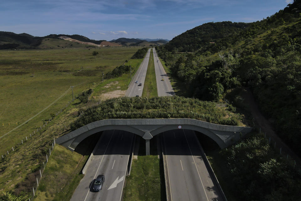 Un vehículo pasa por debajo de un corredor ecológico que busca permitir que los animales crucen una autopista en Silva Jardim, en el estado brasileño de Río de Janeiro, el domingo 10 de julio de 2022. El puente conecta la reserva biológica Poco de Dantas con una granja que la organización sin fines de lucro Golden Lion Tamarin Association adquirió para transformarla en un parque ecológico. (AP Foto/Lucas Dumphreys)