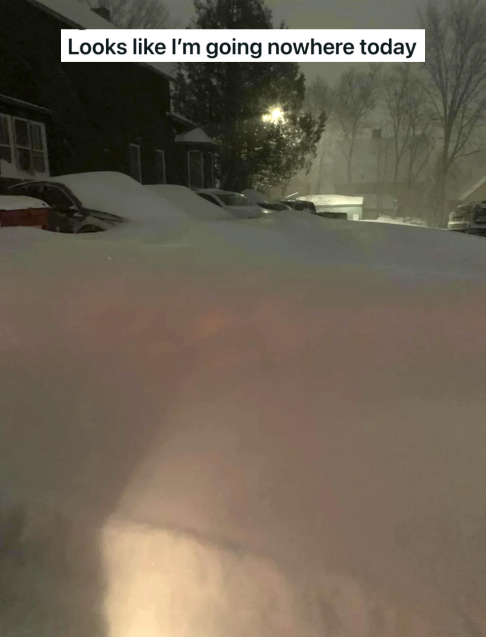 the driveway and cars covered in snow