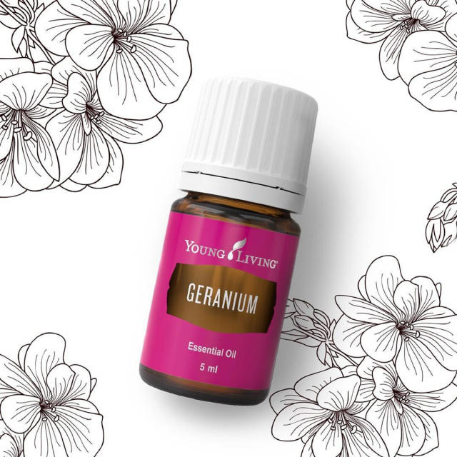 Geranium Oil: Here's Why This Essential Oil Is A Must-Have For