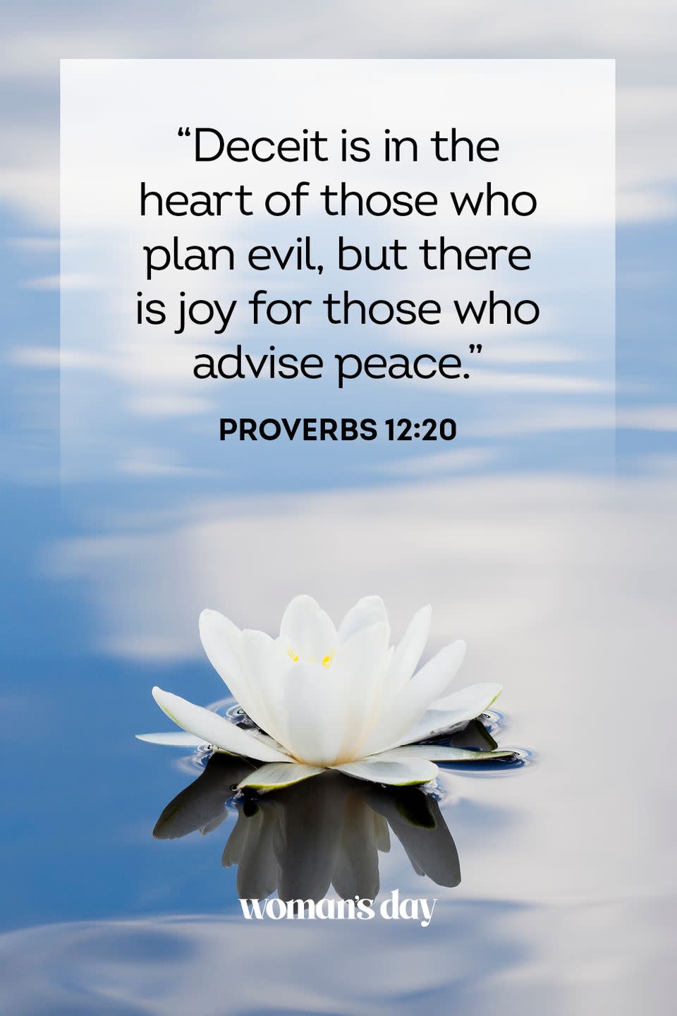 2) Proverbs 12:20