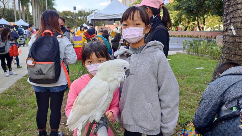 小朋友和鸚鵡合照。   圖：新北市動保處提供