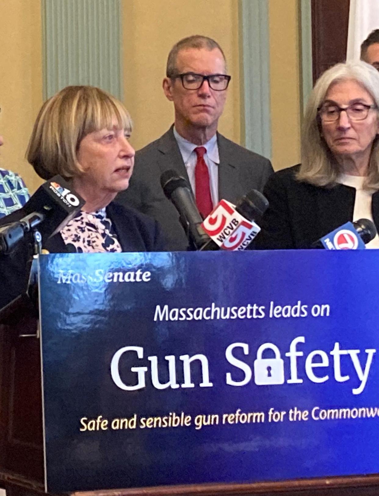 Senate Majority Leader Cynthia Creem discusses the details of the the Gun SAFETY bill, filed Thursday, Jan. 25 and scheduled for a floor vote in the Senate, Feb. 1