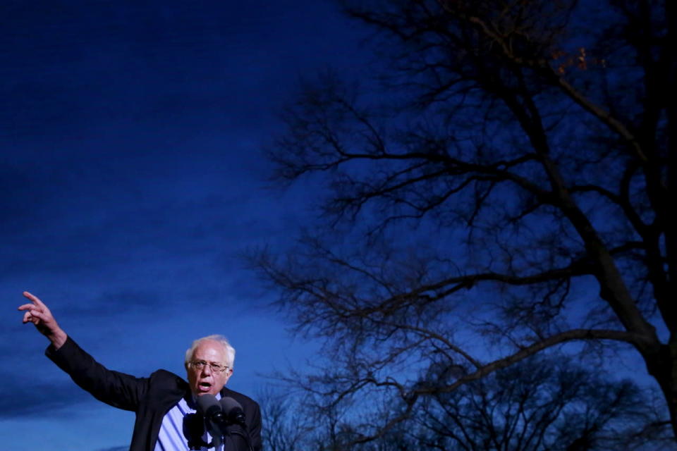 Bernie gestures