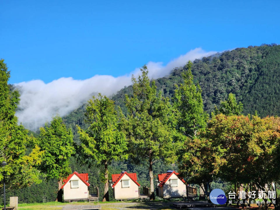 武陵農場露營區同時擁有季節限定的雲海雲瀑與花海景觀，彷彿置身歐洲瑞士美景。