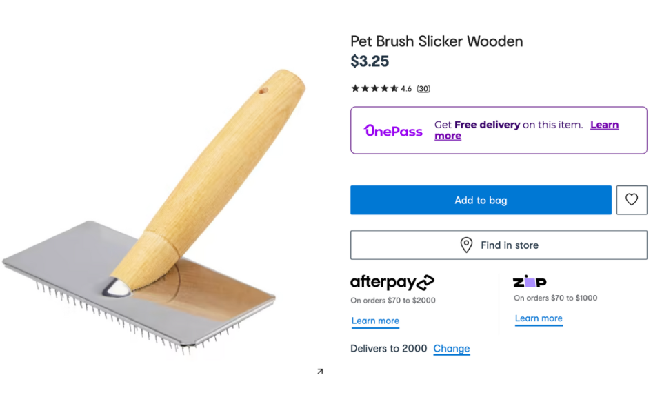 The Kmart brush used in the hack