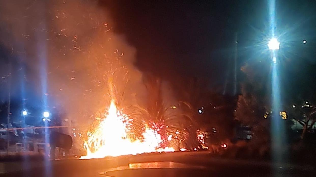 One of St Kilda’s iconic palm trees was destroyed and three others damaged after going up in flames on Sunday evening.