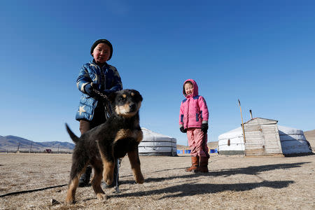 Ukhaanzaya Gankhuyag, 5, and Namuun (R), 5, play with a dog outside Mongolian gers in Tov province outside Ulaanbaatar, Mongolia January 30, 2019. Picture taken January 30, 2019. REUTERS/B. Rentsendorj