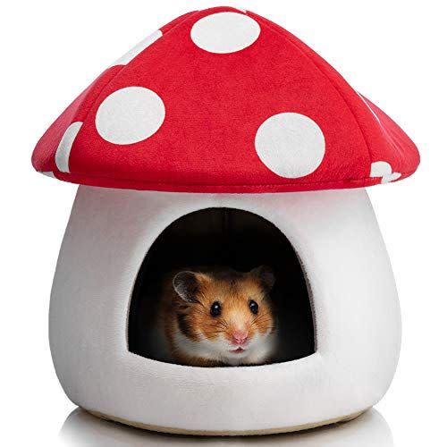 4) Mushroom Mini House