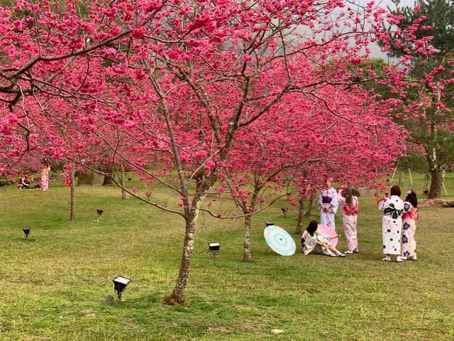 （資料照／翻攝臉書九族文化村 Formosan Aboriginal Culture Village）