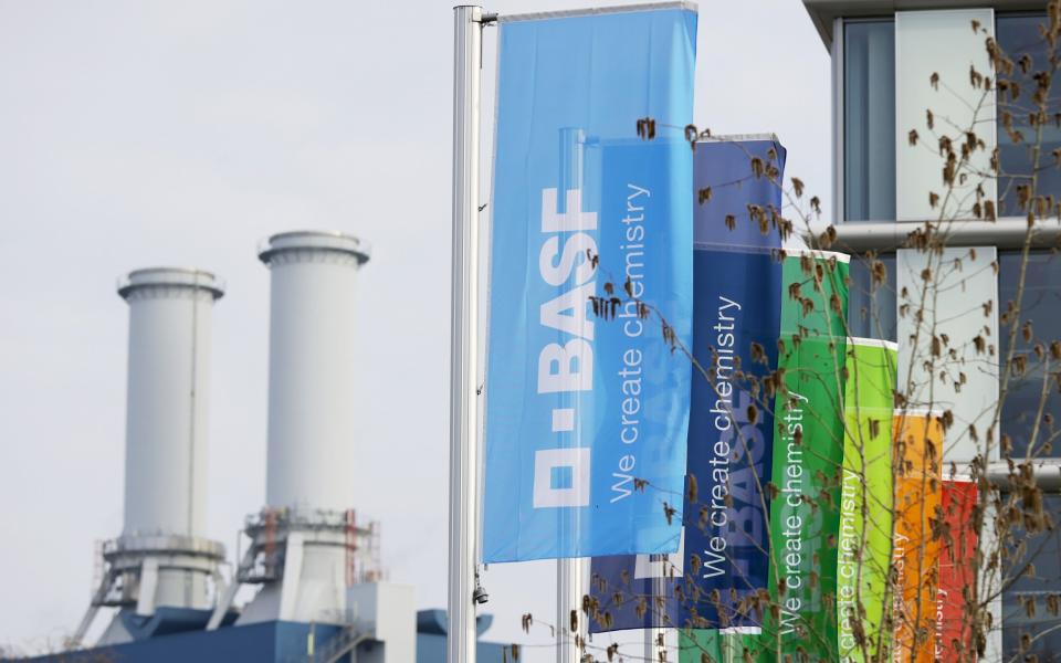 BASF will cut 2,600 jobs - RONALD WITTEK/EPA-EFE/Shutterstock