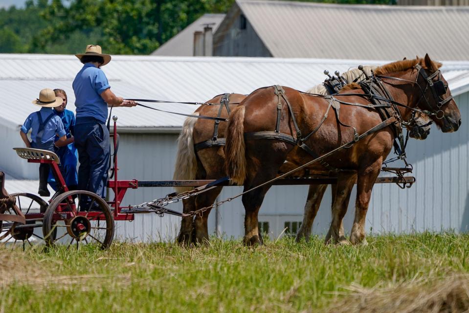 Amish communities are particularly big fans of Costco.