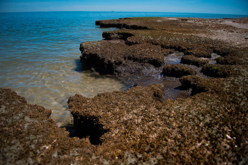 Off US coast, Tangier Island is disappearing under water