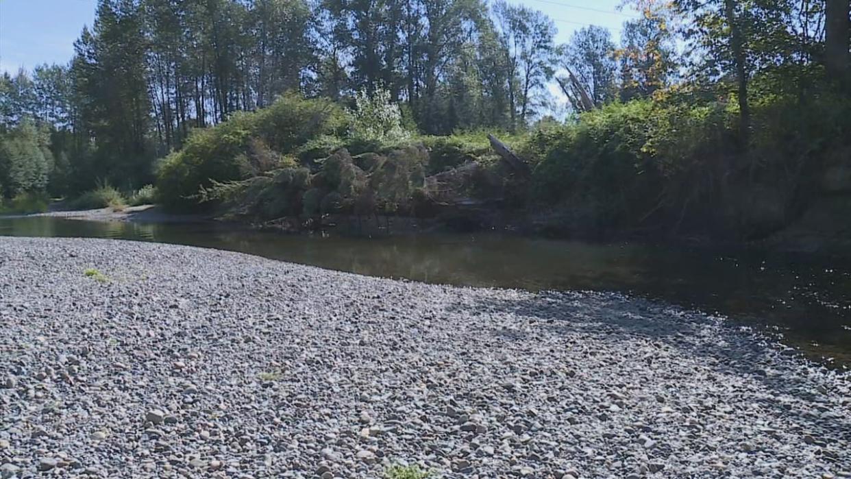 The Tsolum River near Courtenay, B.C., shown in August 2022. That year, its drought level was 4, while other parts of Vancouver Island were 3.  (CHEK News - image credit)