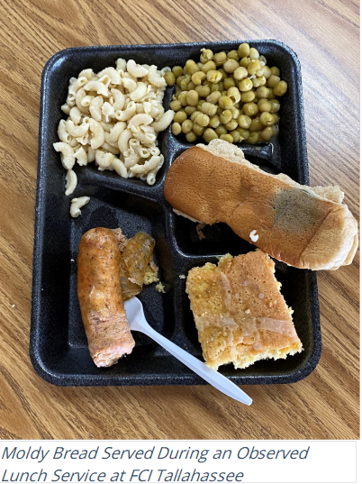 Federal prison inspectors find moldy food is being served to FCI Tallahassee inmates.